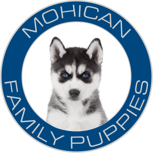 Mohican Family Puppies